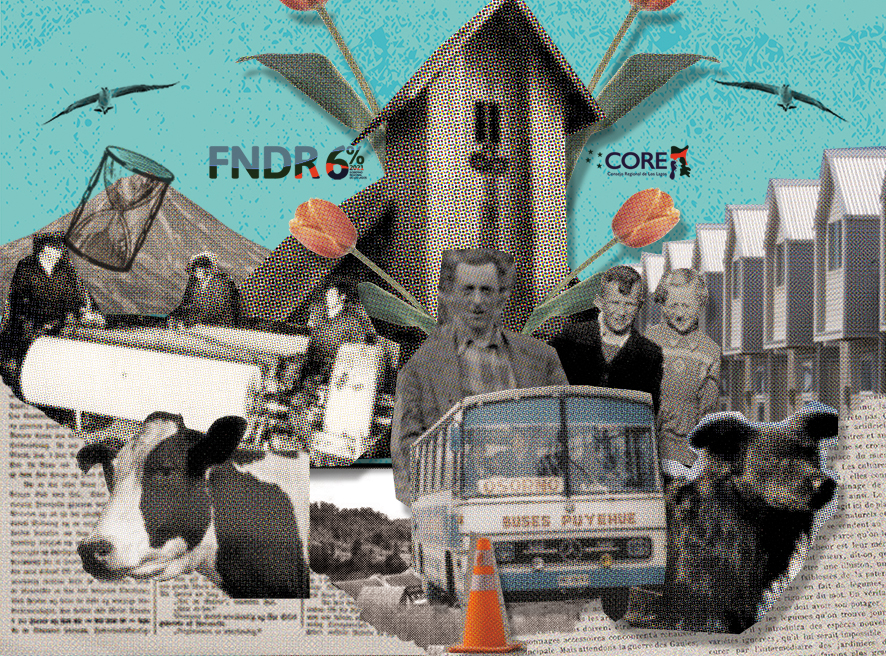 Imagen superior proyecto puyehue en el tiempo